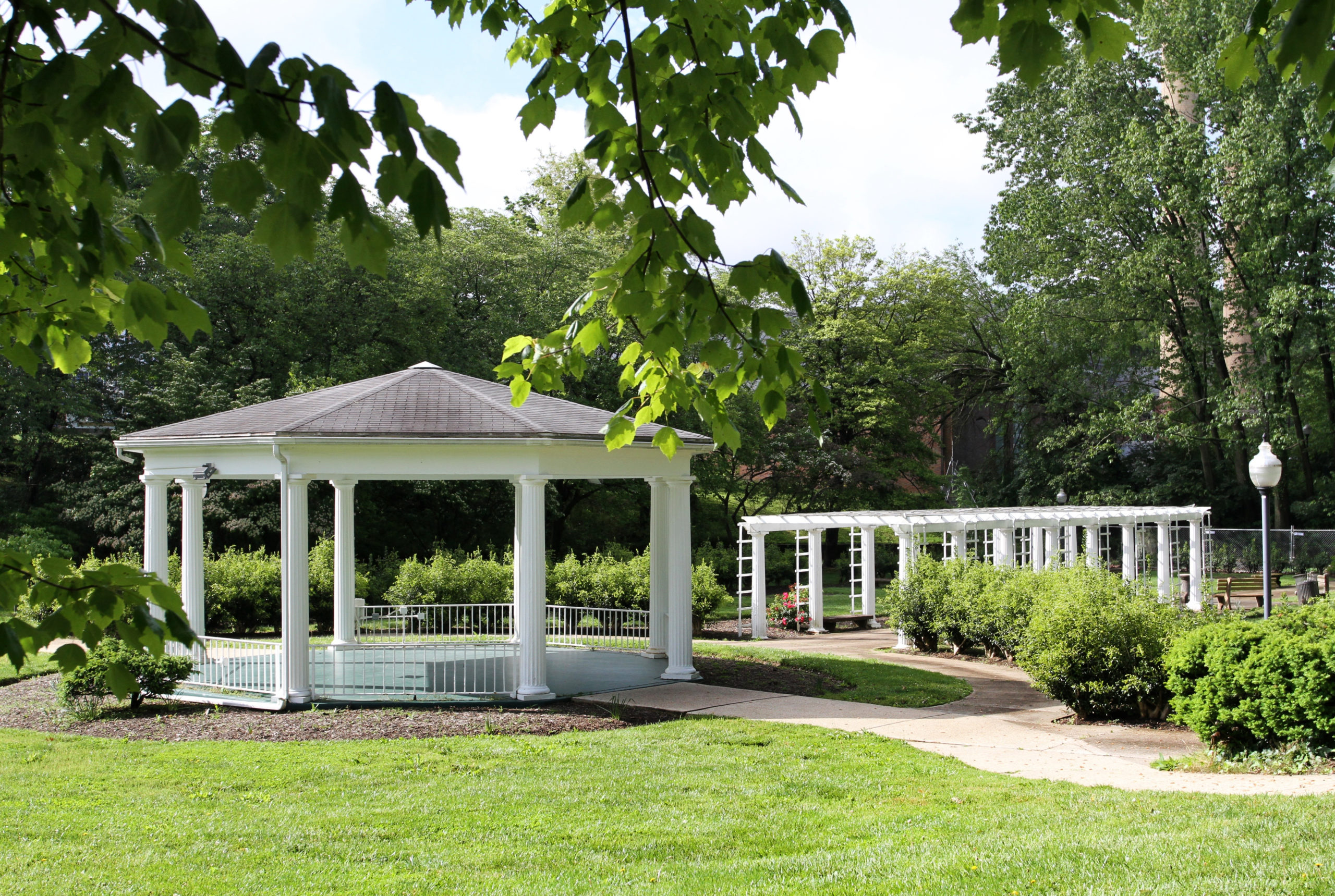 Gallery « Kite House at The Parks