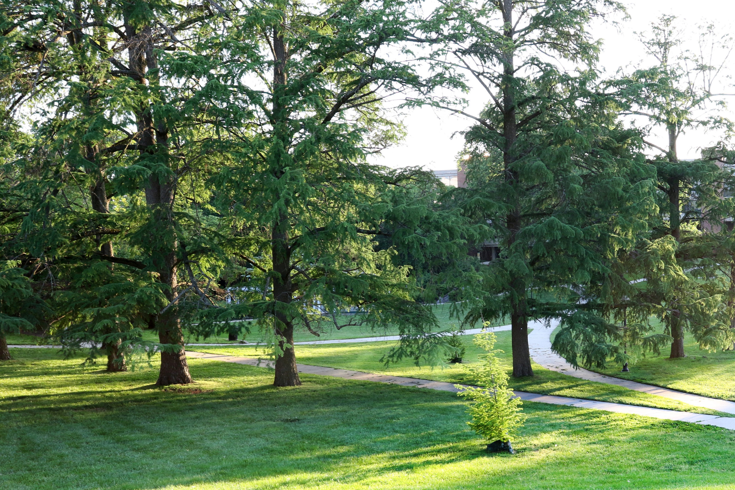 Gallery « Kite House at The Parks